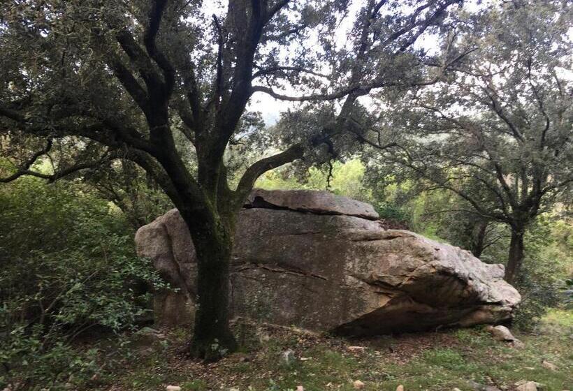 בית מלון כפרי Agriturismo La Casa Delle Fate