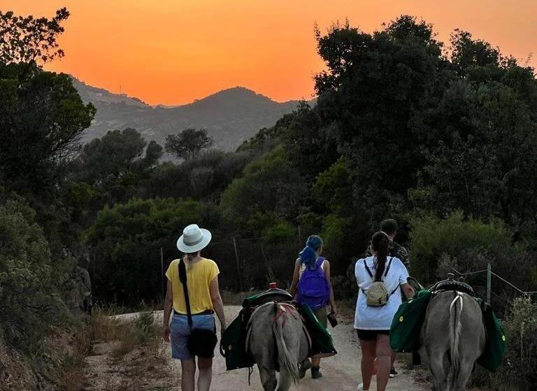 בית מלון כפרי Agriturismo La Casa Delle Fate