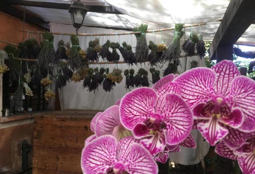 בית מלון כפרי Agriturismo La Casa Delle Fate