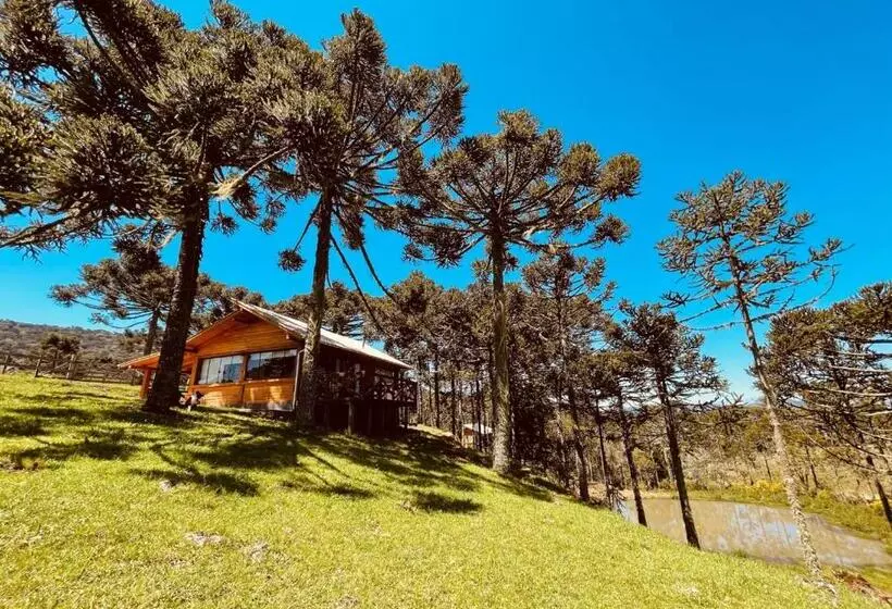 ホテル Fazenda Santa Rita Turismo Rural