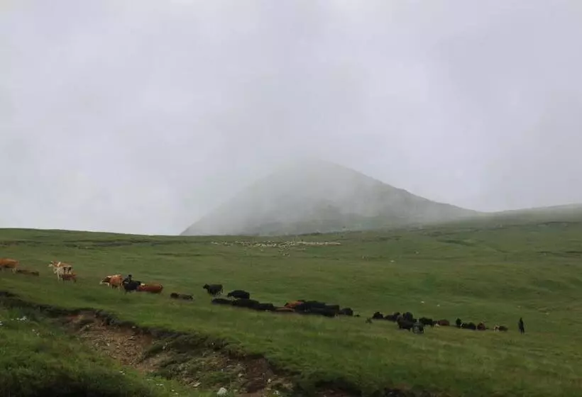 Majatalo Cabana Transalpina