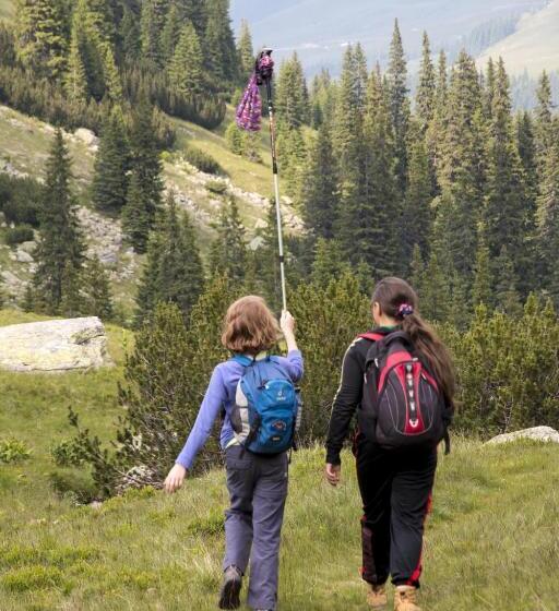 Pensão Cabana Transalpina