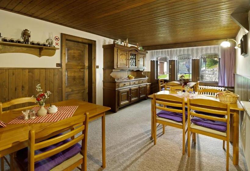 ペンション Penzion Hana