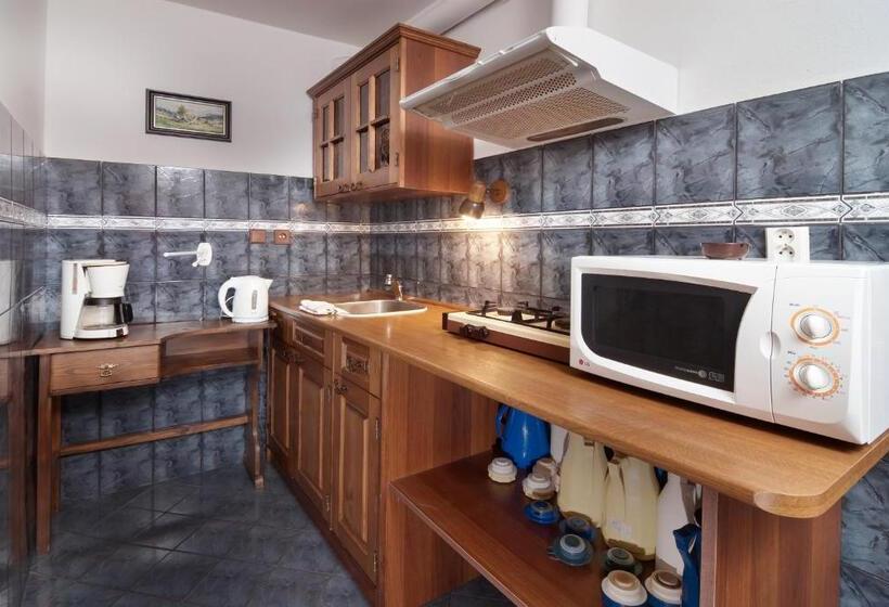 ペンション Penzion Hana