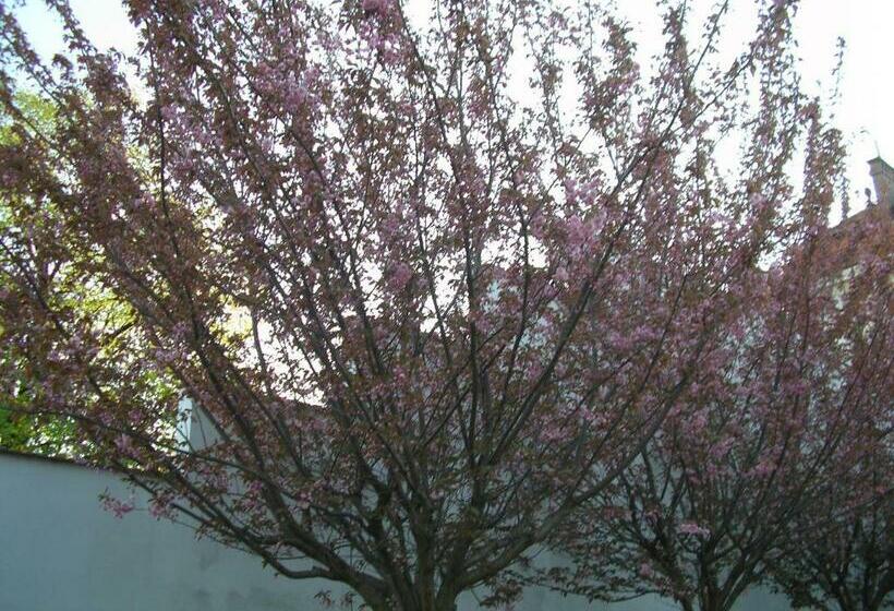 Pensjonat Penzion U žabáka