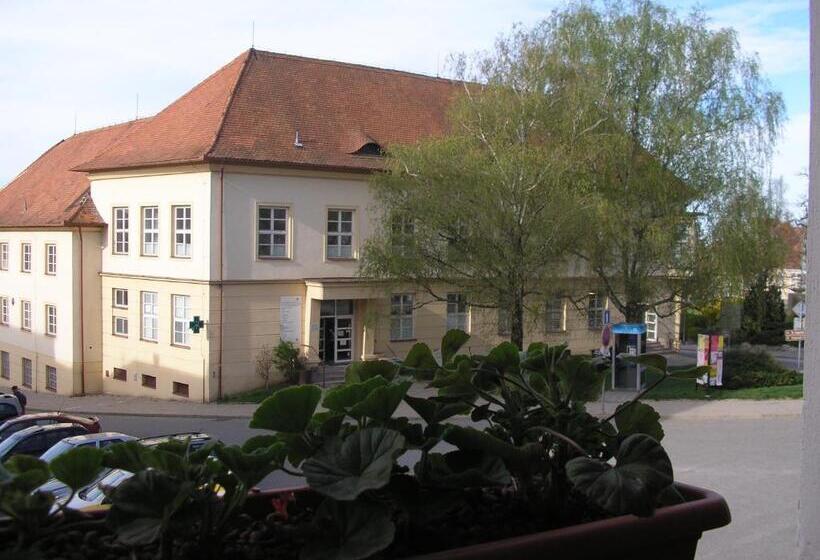 Pensjonat Penzion U žabáka