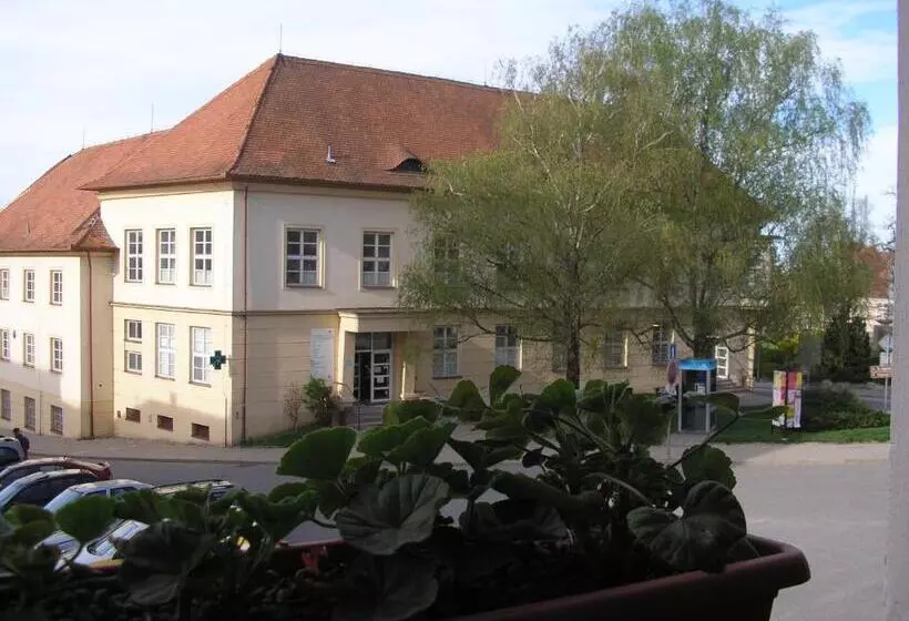 Majatalo Penzion U žabáka