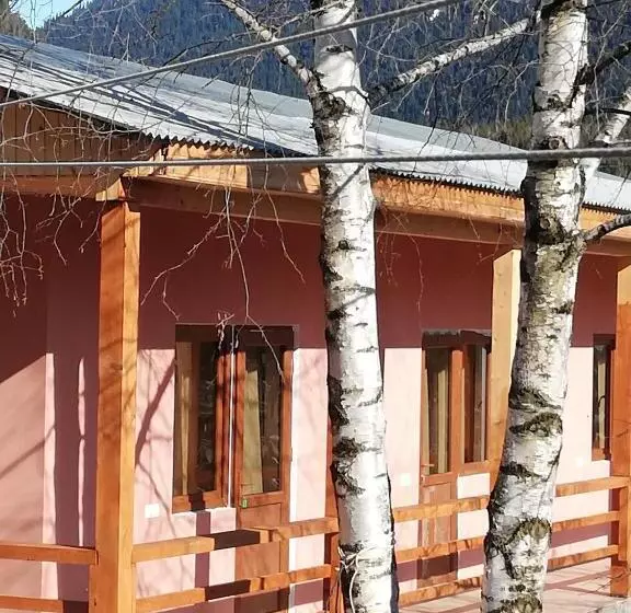 پانسیون Tako S House
