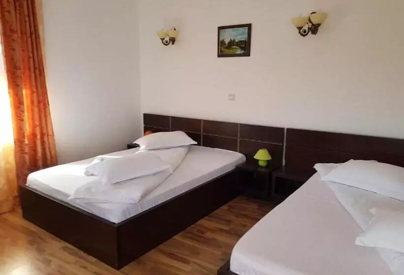 Pensiunea Casa Zarnesteana