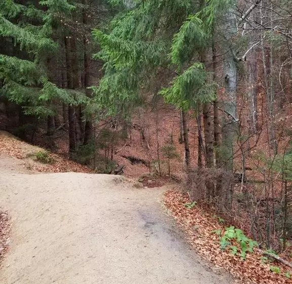 Pensiunea Casa Zarnesteana