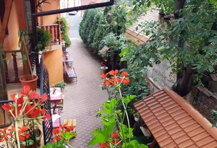 Pensiunea Casa Zarnesteana