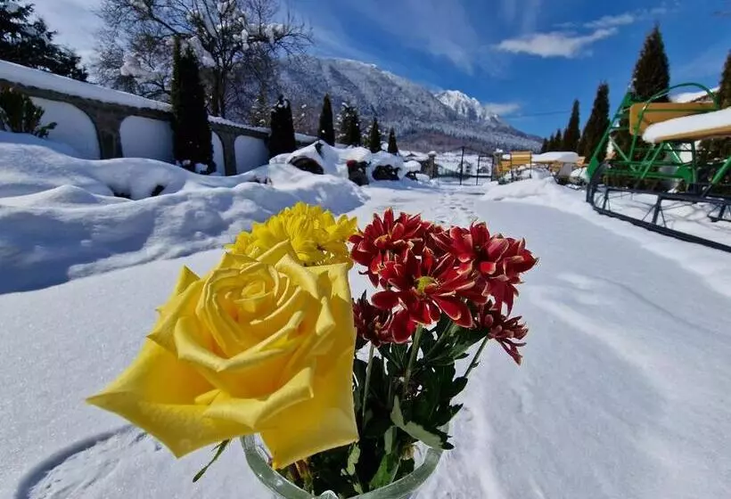 Pensiunea Casa Zarnesteana