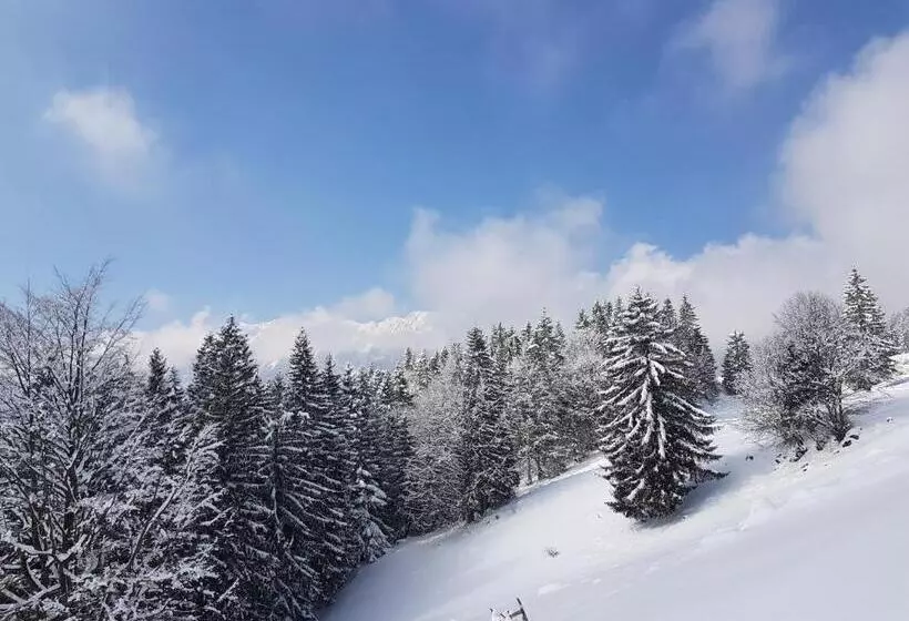 Pensiunea Casa Zarnesteana