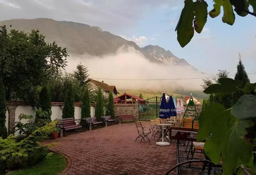 Pensiunea Casa Zarnesteana