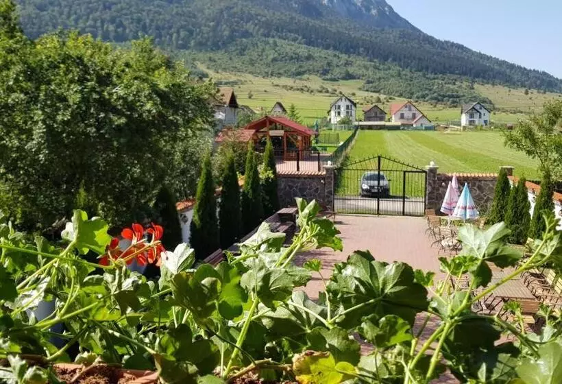 Pensiunea Casa Zarnesteana