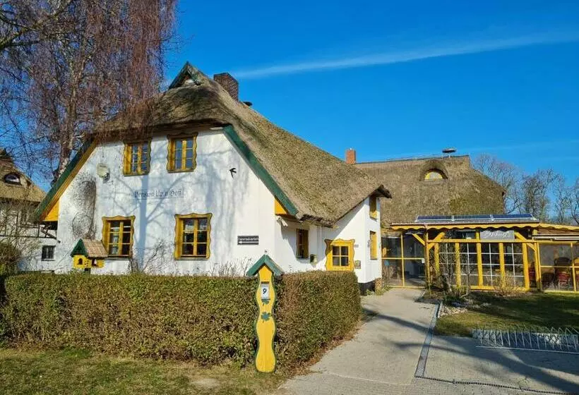 Reethäuser Auf Rügen