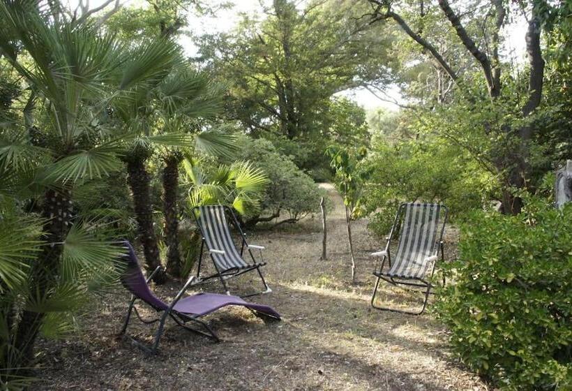 T2 Palais Lumière, Plage à 200m