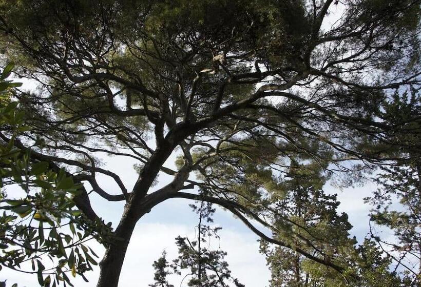 T2 Palais Lumière, Plage à 200m