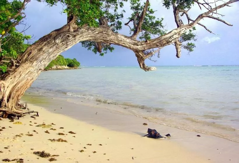 Anais Location Le Soleil Couchant