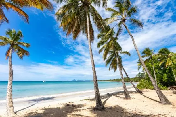 Anais Location Le Soleil Couchant