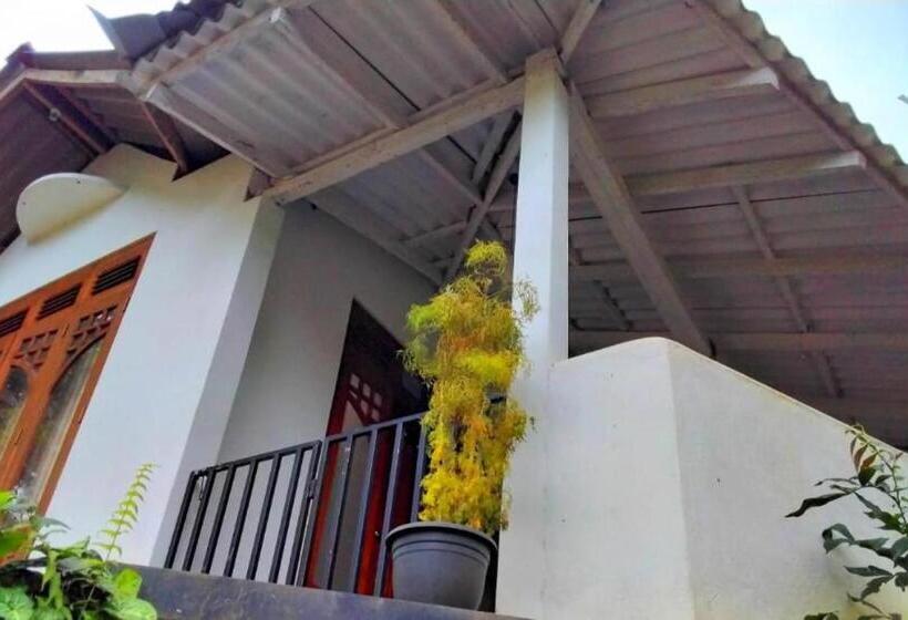 مبيت وإفطار Ella Green Acres