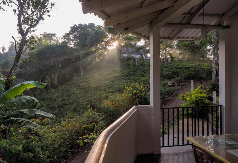 مبيت وإفطار Ella Green Acres