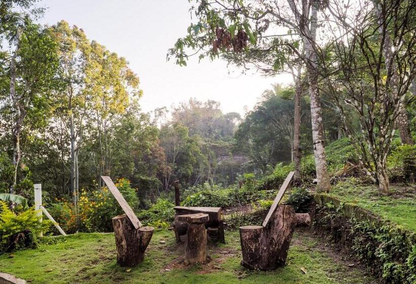 مبيت وإفطار Ella Green Acres