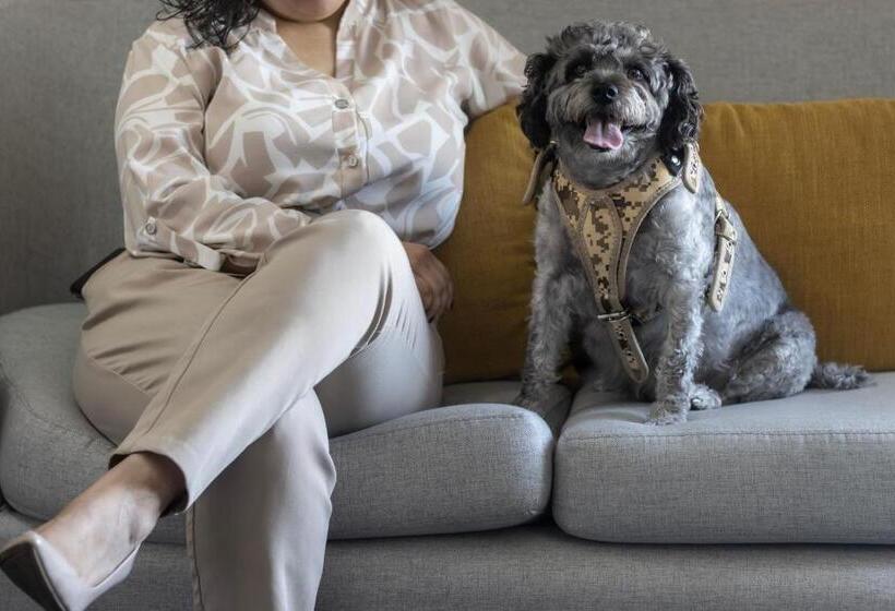 酒店 Courtyard By Marriott Mexicali