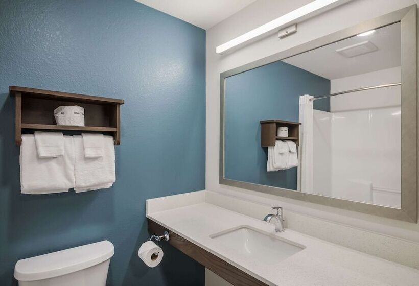 Отель Woodspring Suites Round Rockaustin North
