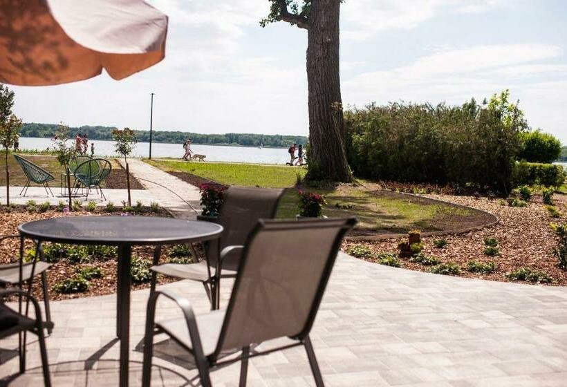 住宿加早餐  Q Panzió