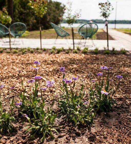 住宿加早餐  Q Panzió