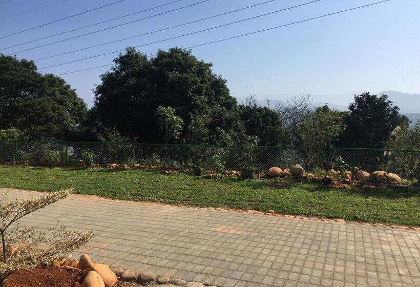 تختخواب و صبحانه 巨缿民宿巨象民宿