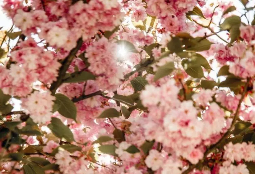 Hotelli кайзервальд клуб