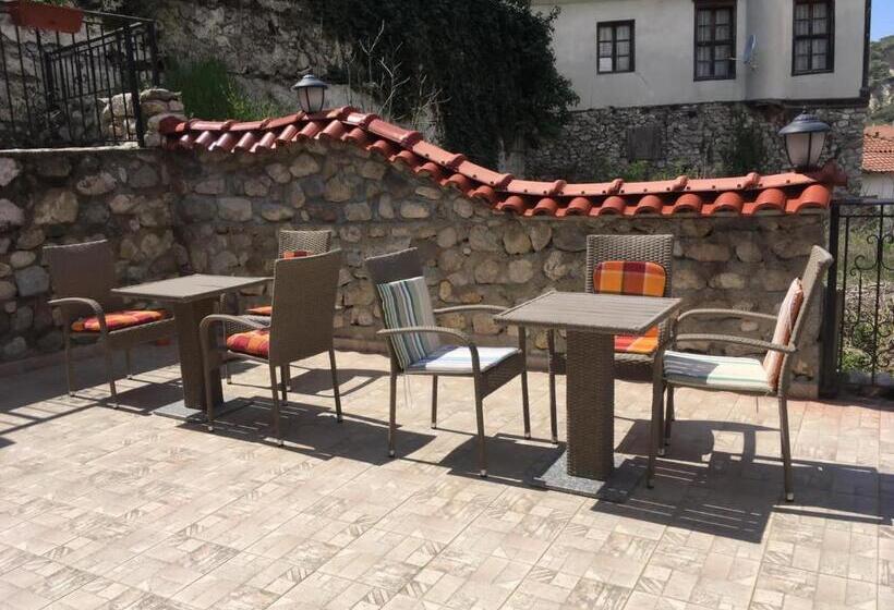 Pensionat сининкова къща