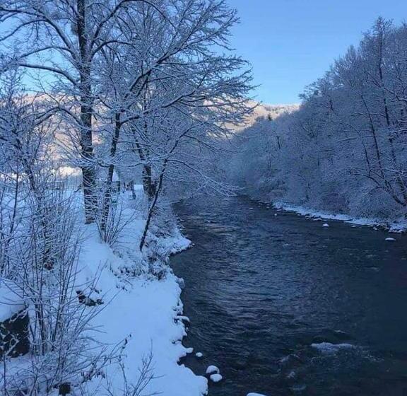 پانسیون сонячна соната