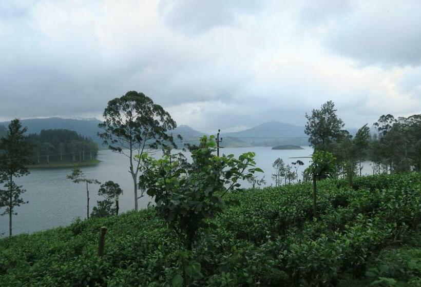 Majatalo Mango Tree Nearest Adam S Peak