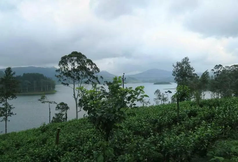 پانسیون Mango Tree Nearest Adam S Peak