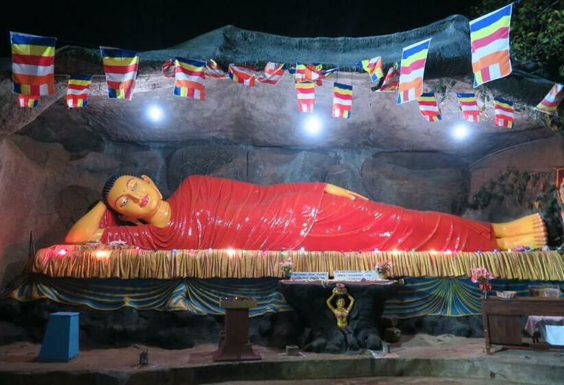 Majatalo Mango Tree Nearest Adam S Peak