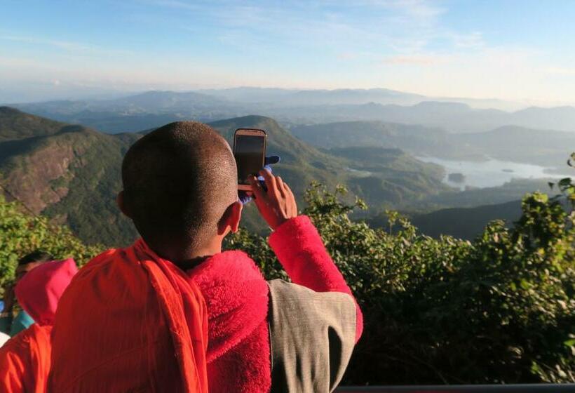 Majatalo Mango Tree Nearest Adam S Peak
