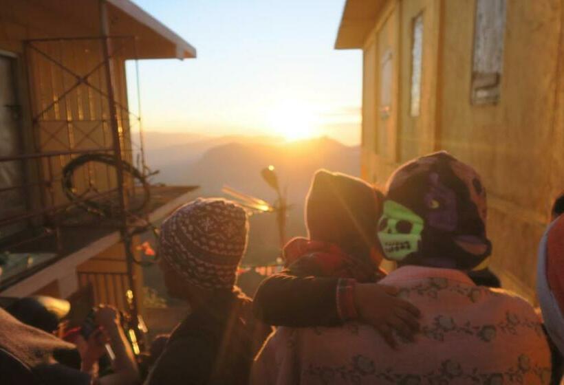 Majatalo Mango Tree Nearest Adam S Peak