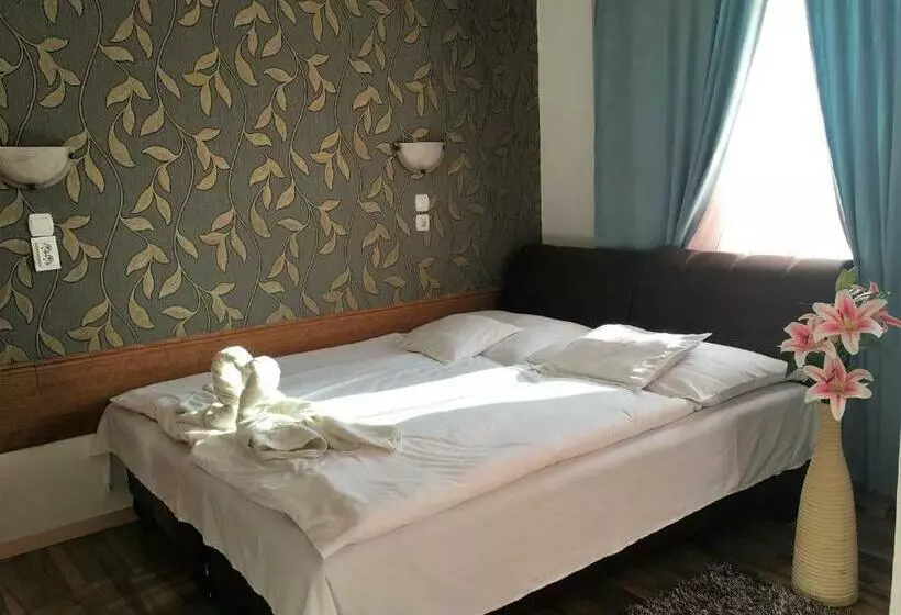 Aamiaismajoitus (B&B) Európa Panzió