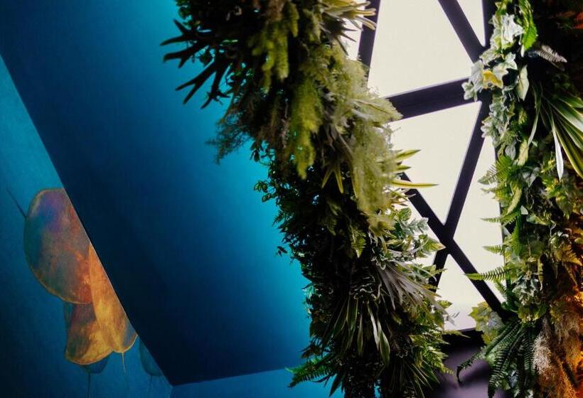 تختخواب و صبحانه Napoliviva