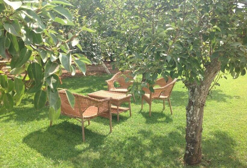 בית מלון כפרי Agriturismo L Agrumeto