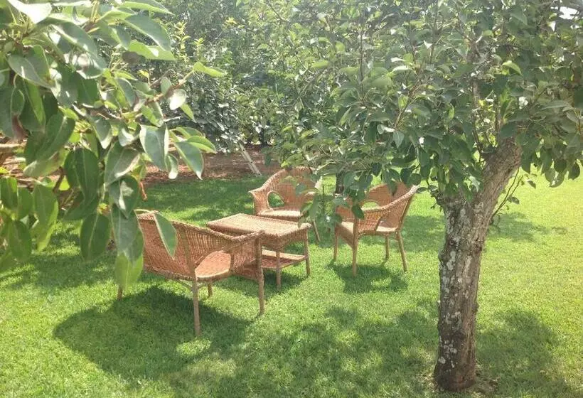 ホテル Agriturismo L Agrumeto