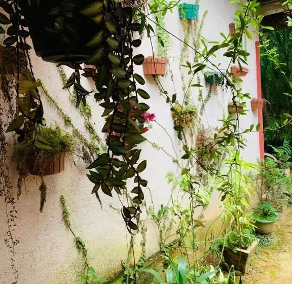 هاستل Little Cottage
