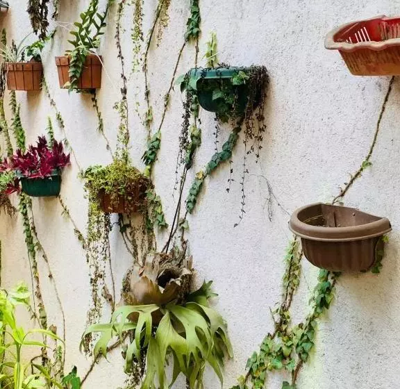 هاستل Little Cottage