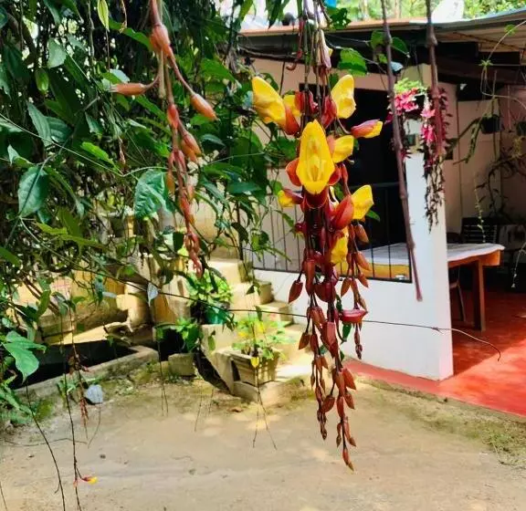 هاستل Little Cottage