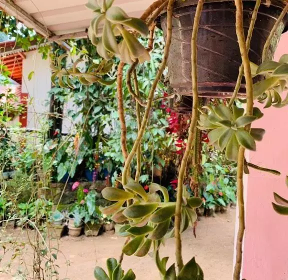 هاستل Little Cottage