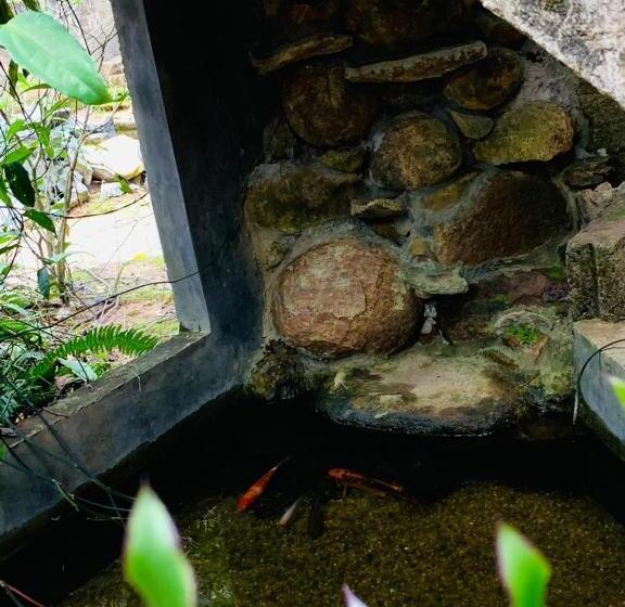 Alberg Little Cottage