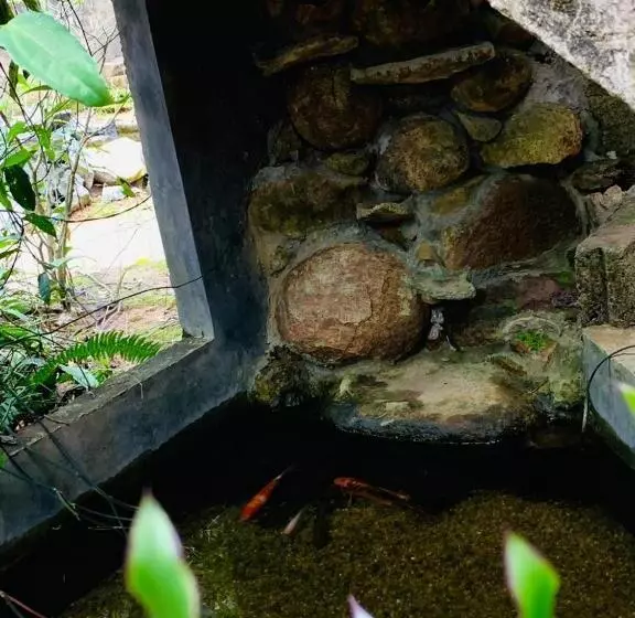 هاستل Little Cottage